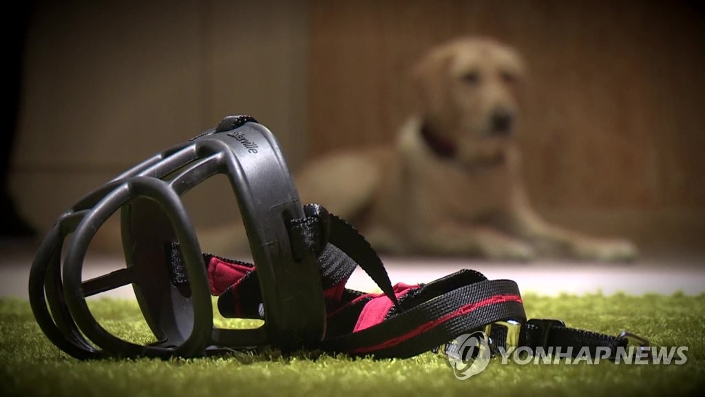 주점서 20대 여성에 달려든 대형견…견주 벌금 150만원