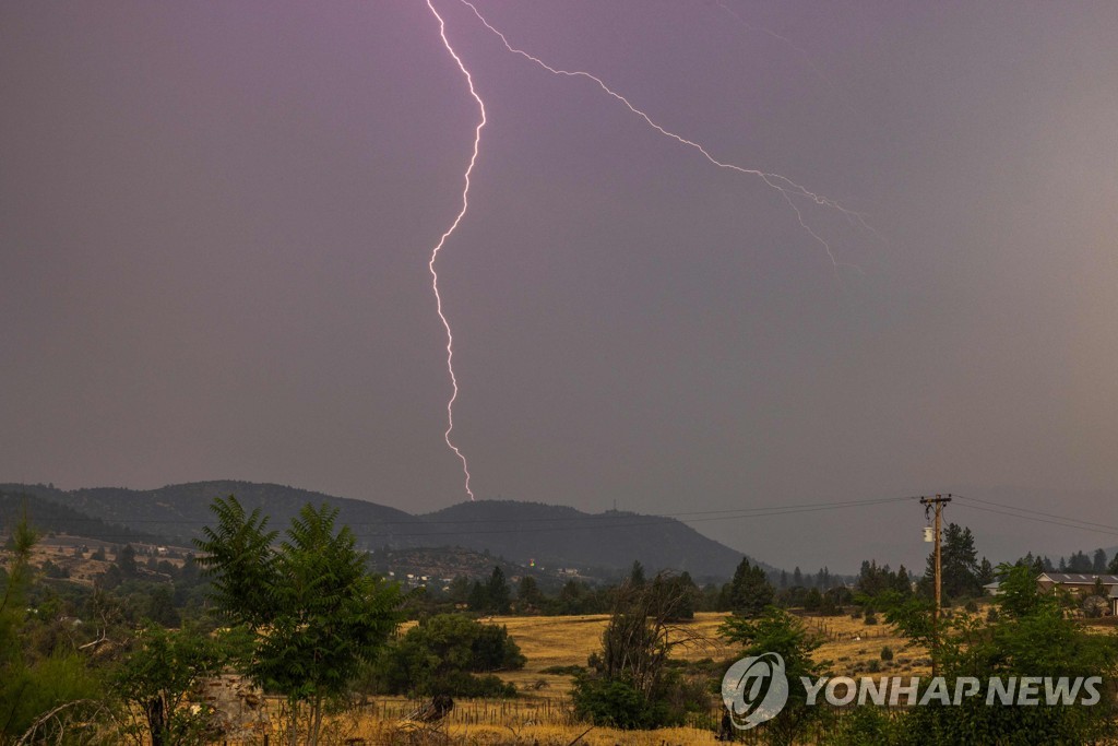 백악관 코앞 공원에 벼락 떨어져 4명 중태