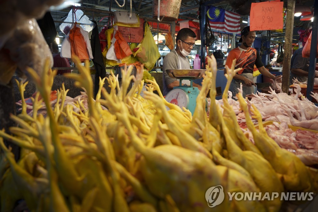 말레이시아, 닭고기 수출 다음 달 재개할 듯