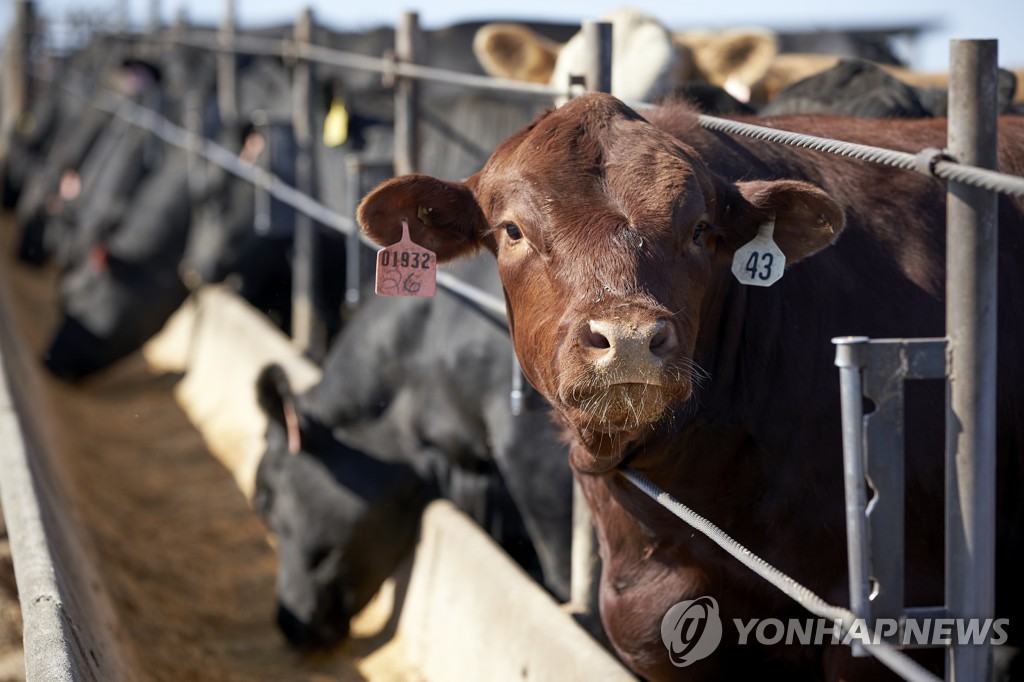 "중국이 육류 수입 중단" 뉴스에 호주·뉴질랜드 '화들짝'