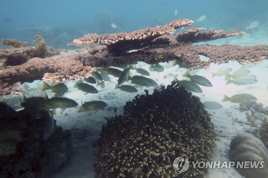 각국 잇속 따지다 '해양생태 보전' 글로벌조약 제정 또 불발