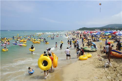 관광특화시책 풍성한 동해시, 피서객 31% 증가…'무사고' 마무리