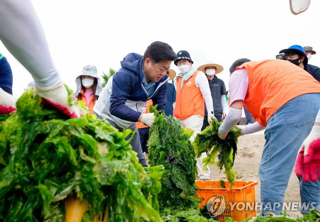 [제주소식] 제주도-중앙그룹, 신양섭지해수욕장 해변 정화활동