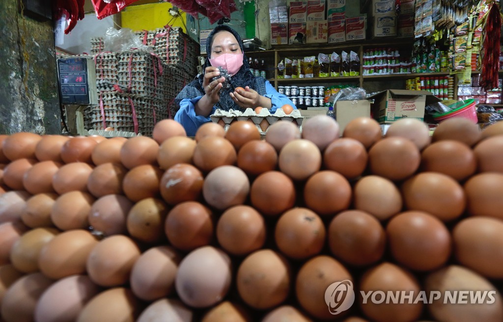 인니, 이번엔 '달걀 대란'…"수급 불안에 사상 최고로 폭등"