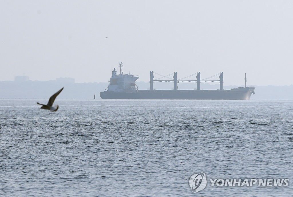 개전 후 우크라에 첫 외국 화물선 입항…곡물 싣고 터키로