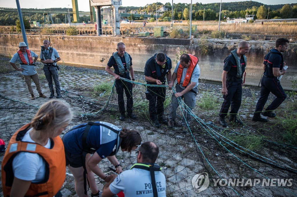 파리 센강 '벨루가 구조작전'…냉장차 실려 해수 구역으로