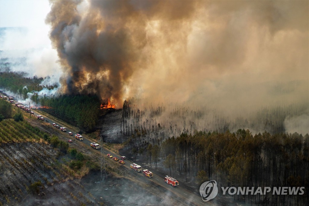 [기후위기현장을 가다] 프랑스 '최고의 숲' 할퀸 '괴물 산불'