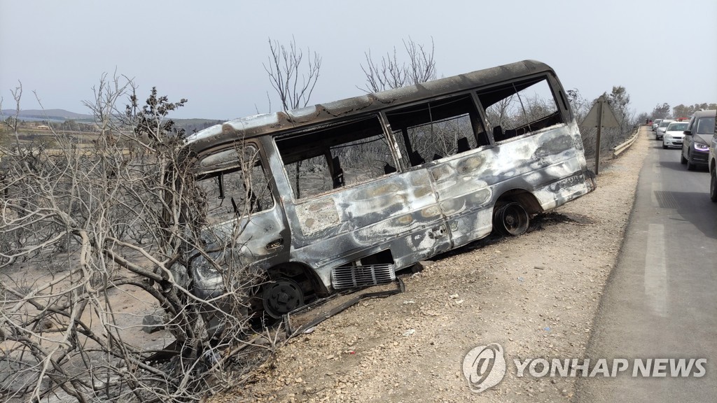 북아프리카 알제리 덮친 '산불 토네이도'…최소 38명 숨져(종합)