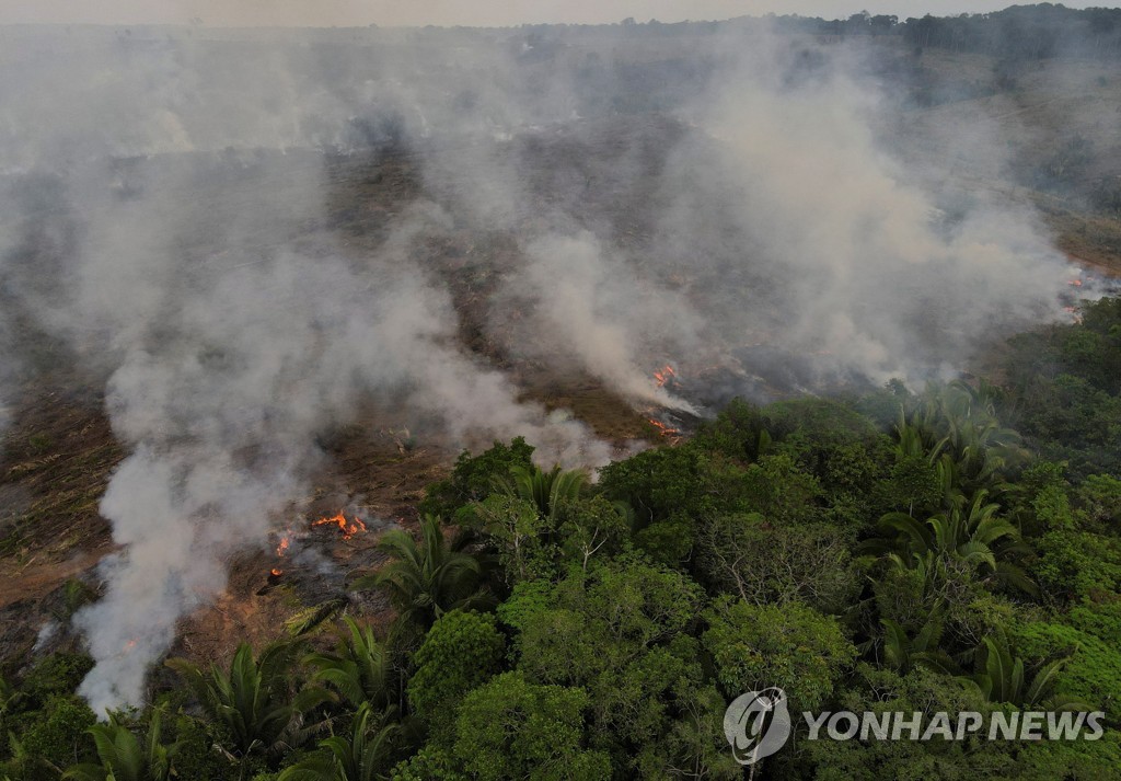 브라질 아마존 침입한 불법업자, 원주민 공격 급증