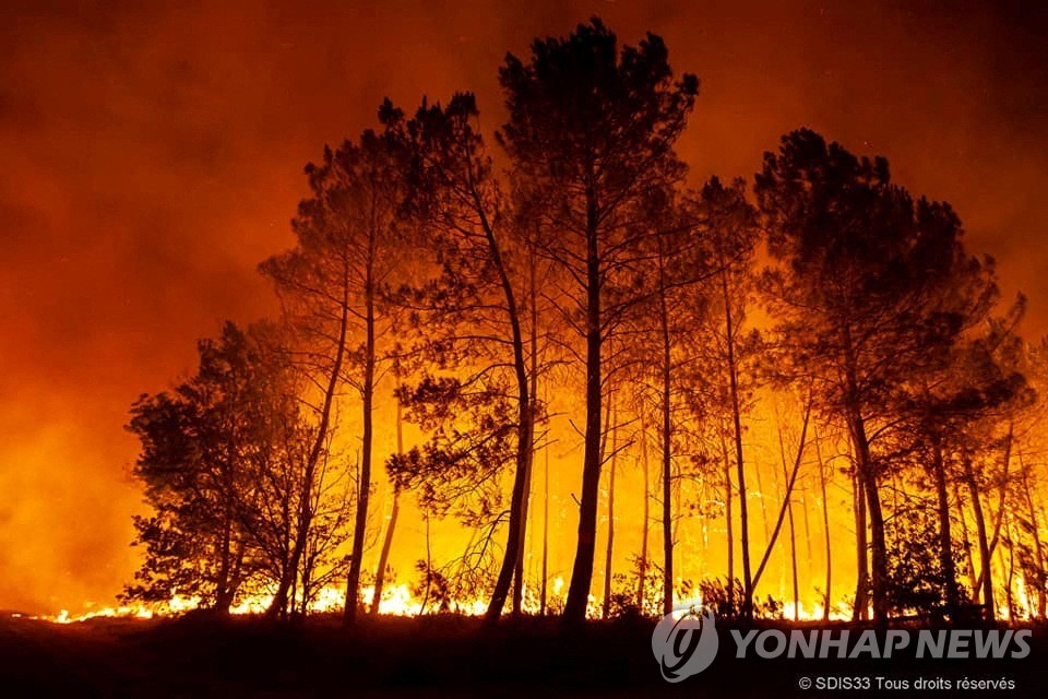 [기후위기현장을 가다] 프랑스 '최고의 숲' 할퀸 '괴물 산불'