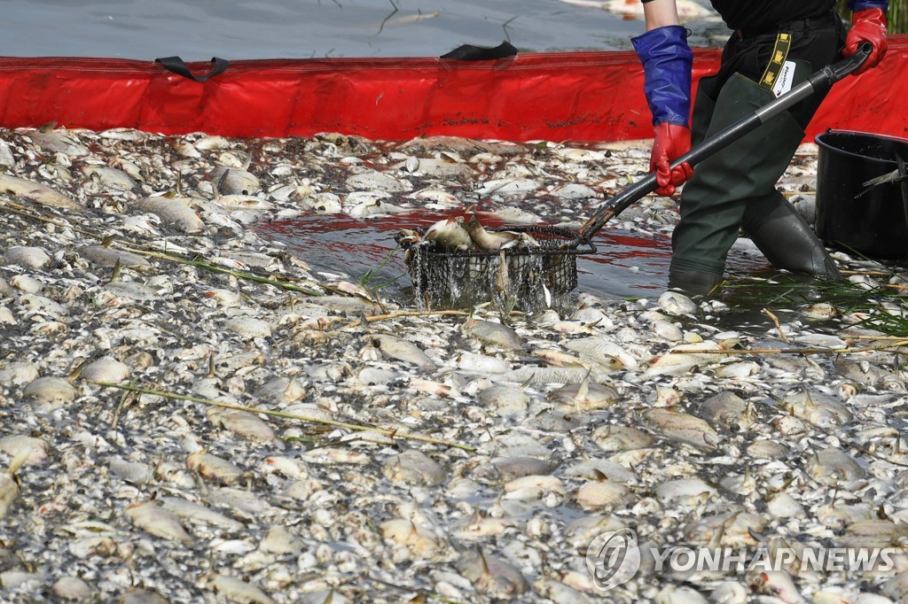 유럽 한복판 오데르강서 물고기 집단폐사…"염도높고 수은검출"