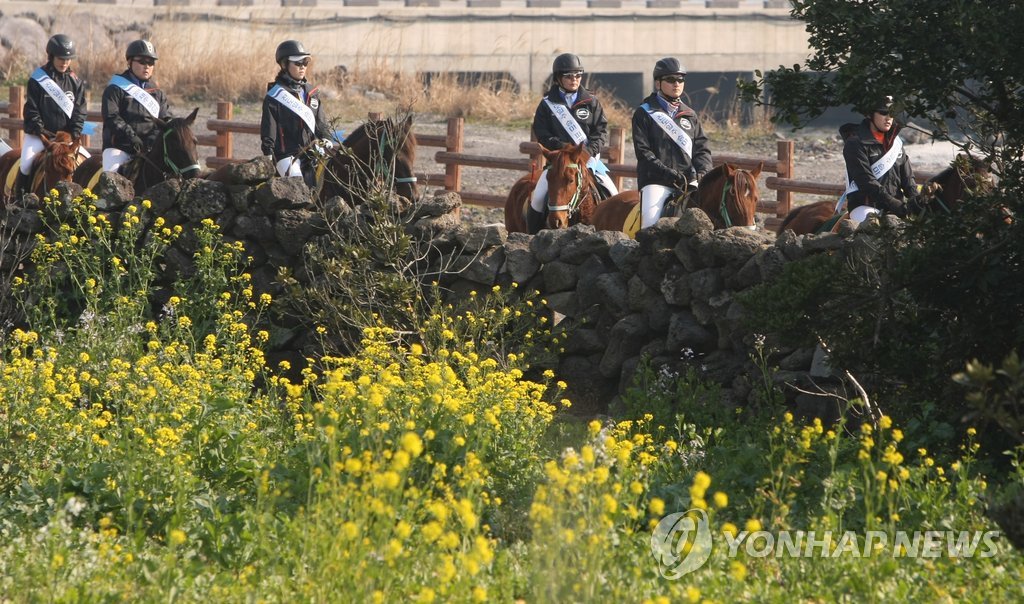 제주 말산업 특구·전문인력 양성 운영평가 8년째 1위