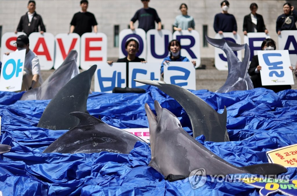 벨루가 '벨라'와 '루비'도 내년에 바다로 돌아갈 수 있을까