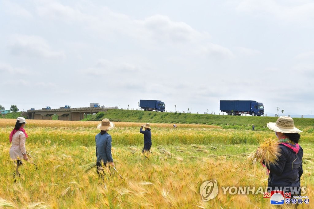 농사에 사활 북한, 이상기후에 긴장…"엄혹한 시기 쌀독 채워야"