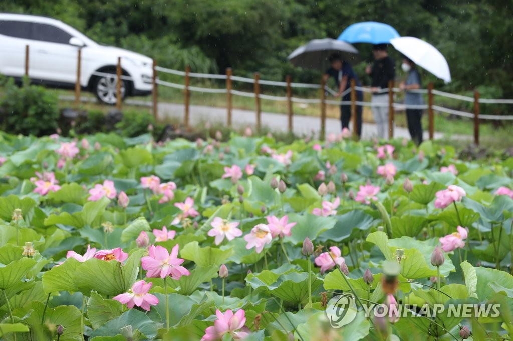 제주 흐리고 비…낮 기온 27∼29도