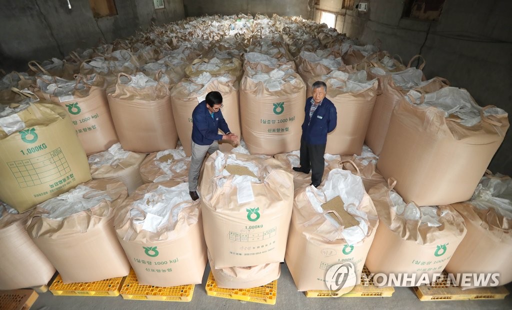 농민단체 "쌀값 23% 폭락…안정책 없을 시 투쟁할 것"