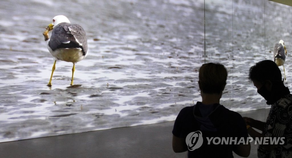 '머드·해양신산업 발전 디딤돌' 보령해양머드박람회 폐막