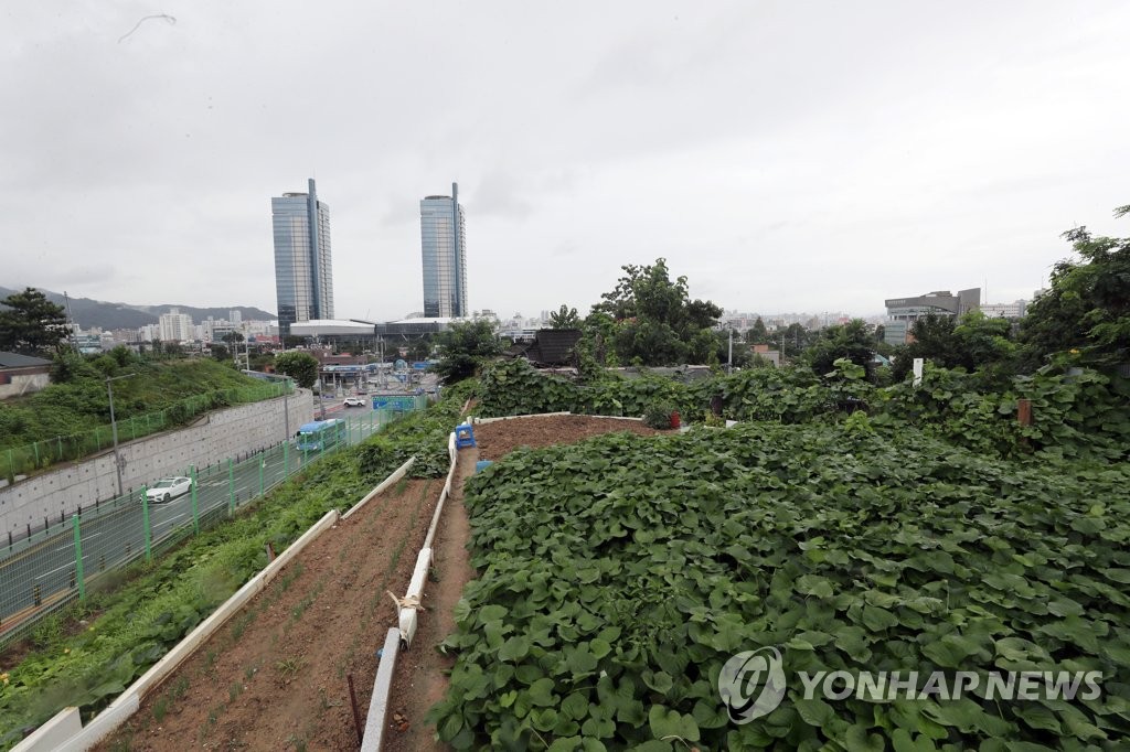 대전 동구 개발예정지 빈집 무단철거 뒤 보상 늦어져 논란