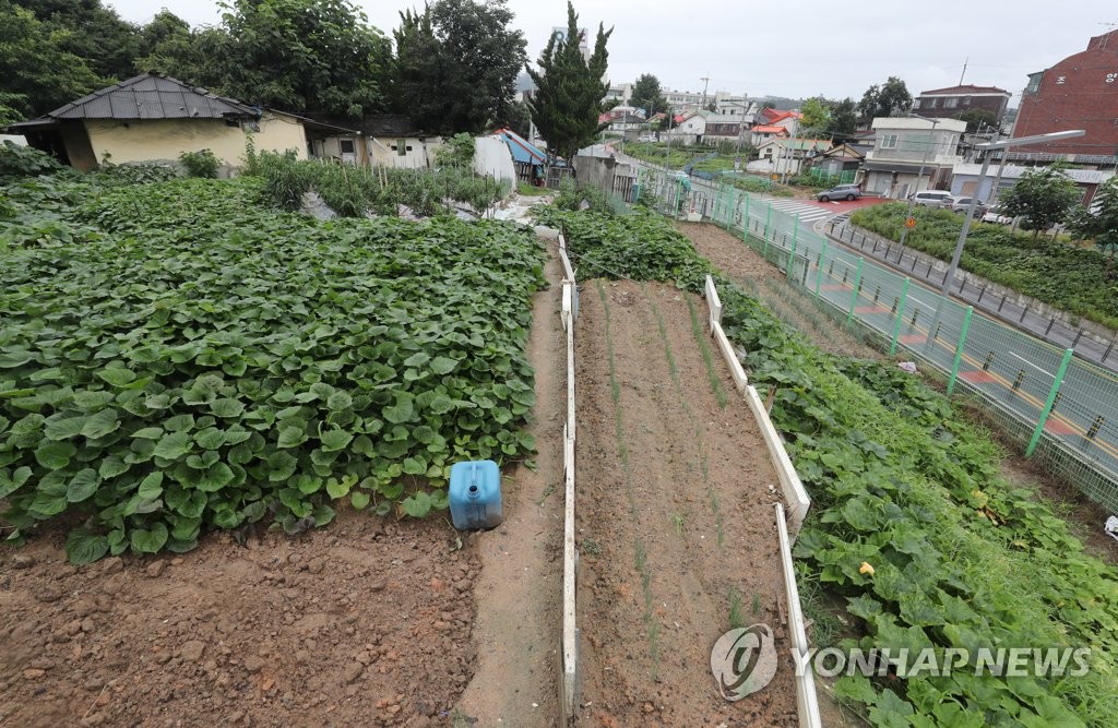 대전 동구 개발예정지 빈집 무단철거 뒤 보상 늦어져 논란