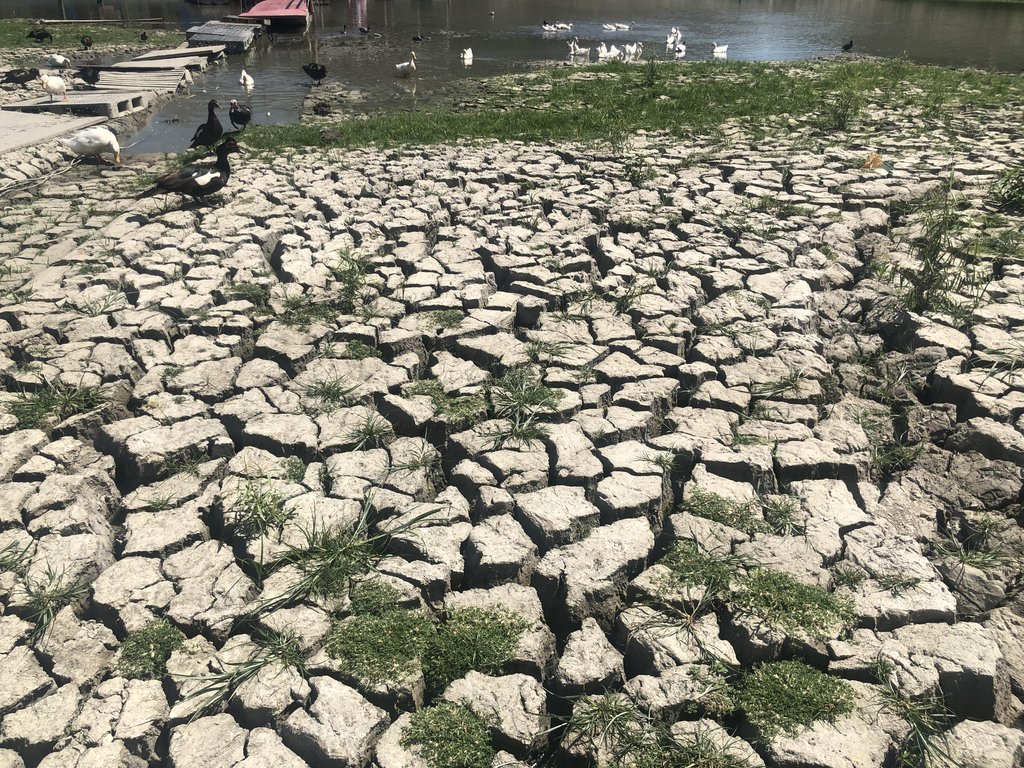멕시코 '물부족'에 맥주공장도 멈추나…"가뭄지역서 생산 안돼"