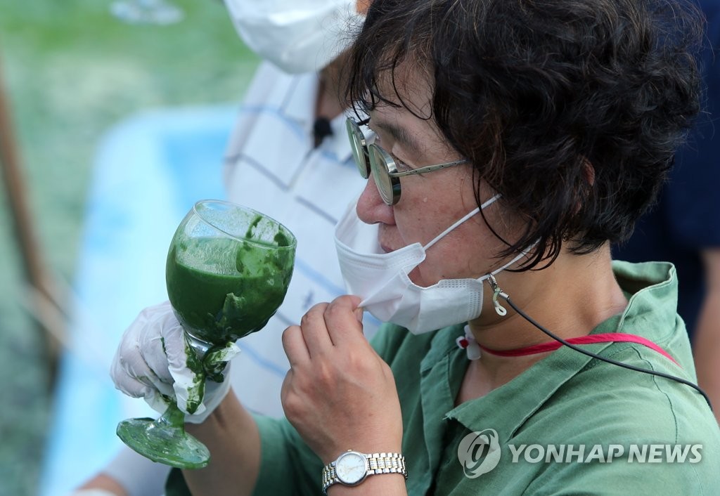 녹조가 점령한 낙동강…환경단체 "강이 흘러야 환경재난 해결"