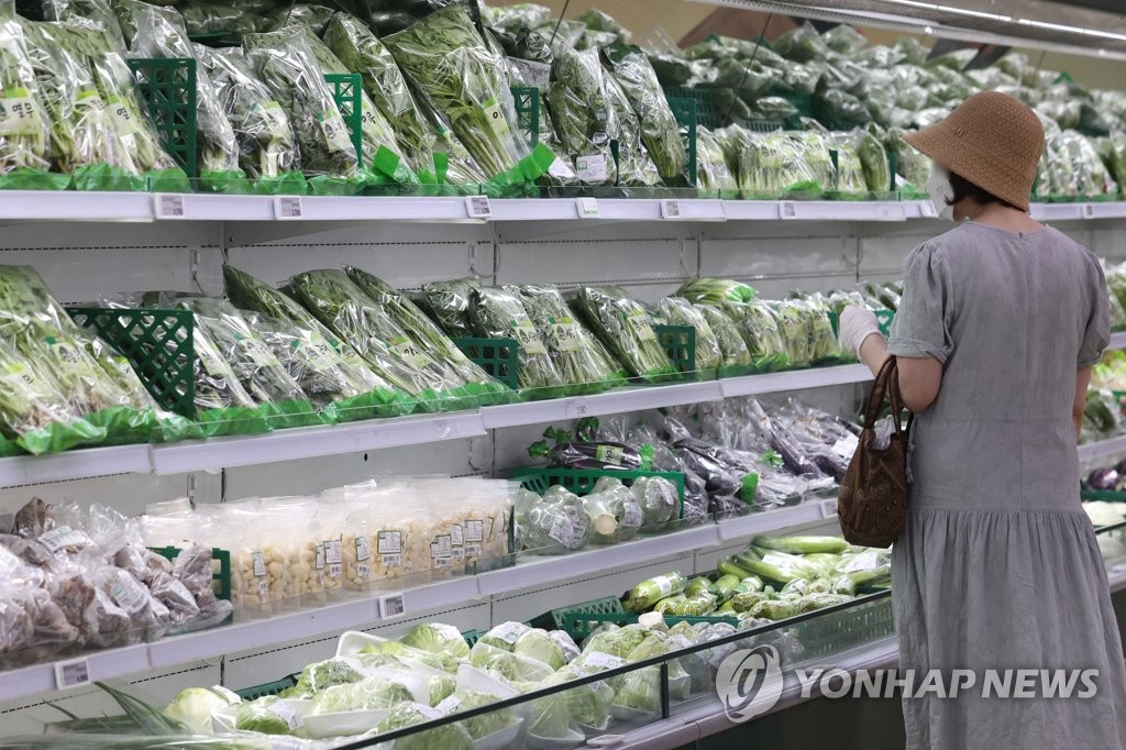 농식품부 "집중호우로 농지 1천774㏊ 침수…밭작물 피해 적어"(종합)