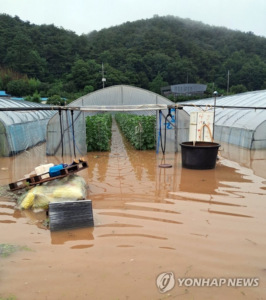 충남 집중호우 시설 피해 109건…농작물 침수 345㏊