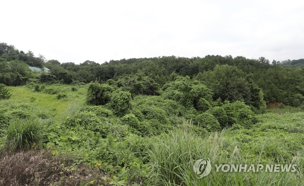 17년 '허송세월' 광주 어등산에 복합쇼핑몰 들어설 수 있을까