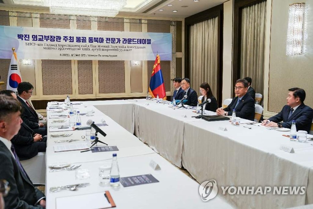 박진, 몽골 싱크탱크에 '담대한 구상' 소개…이태준 공원 헌화(종합)