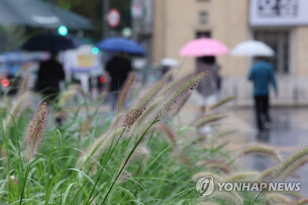 대전·세종·충남 흐리고 비…낮 최고 27도