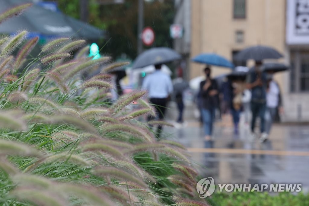 우산 쓸 일 많았던 8월, 마지막 날까지 비…동쪽지역 강수 계속