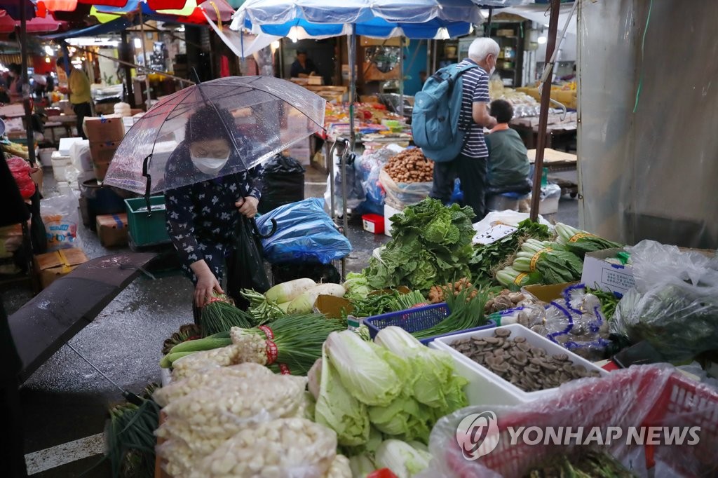 "한 단에 8천원" 시금(金)치 된 채소 가격…망설여지는 장보기