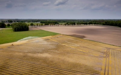 네덜란드, 가뭄·폭염 이중고에…'물 부족' 공식 선언