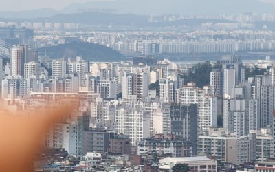 부동산 시장 '거래절벽' 후폭풍 막아야 [김진수의 부동산 인사이드]