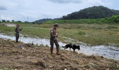 부여 강변 변사체, 이틀 전 실종된 화물차 운전자로 확인