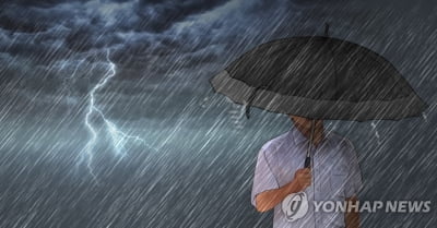 전북 익산 함라에 91㎜ 비…소방본부 "현재까지 비 피해 없어"