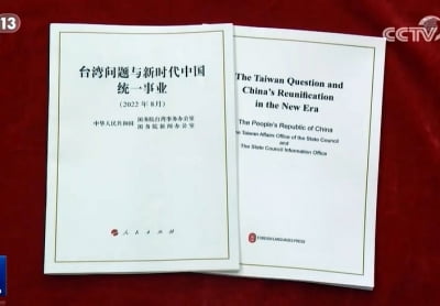 중국 대만백서, 통일 후 '홍콩식 일국양제' 적용