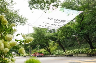 한국마사회, 21일까지 야간수국축제…화훼농가와 상생 취지