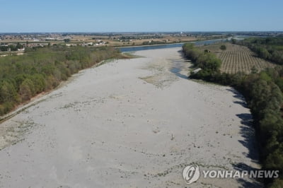 바닥 드러내는 강…유럽 '500년만의 최악' 가뭄 우려