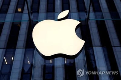"애플, 광고 사업 확대…지도 서비스에 검색광고 도입할 듯"