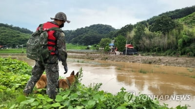 부여 폭우 실종자 수색 오전 9시 재개…헬기·드론·구조견 동원