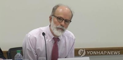 램지어 "친북단체, 북핵저지 한일공조 막으려 위안부문제 이용"