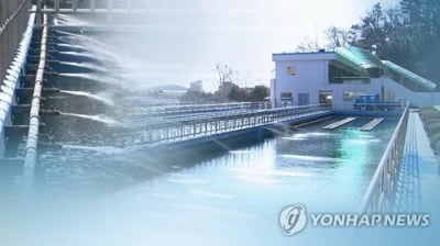 전국 정수장 27곳서 깔따구 유충…창원·수원은 '관리부실'