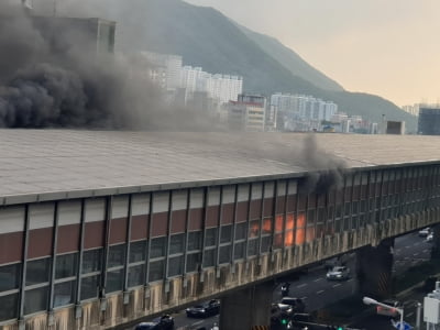 부산 동서고가도로 차량 화재…운전자 1명 연기 흡입