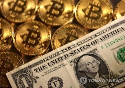 美디파이 제네시스, 코인 부실대출에 CEO 퇴진·인력 감축