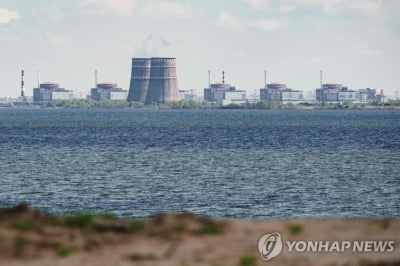 "자포리자 원전, 체르노빌급 재앙은 없겠지만 방사선 노출 위험"