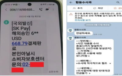 의사도 속는다…검찰·금감원 등 기관사칭 보이스피싱 피해↑