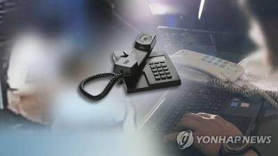 "보이스피싱 가담 모른다고 해줘" 위증교사한 조직원 법정구속