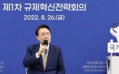 기업인 가벼운 법 위반, 형벌 대신 과태료…32개 경제형벌 개선