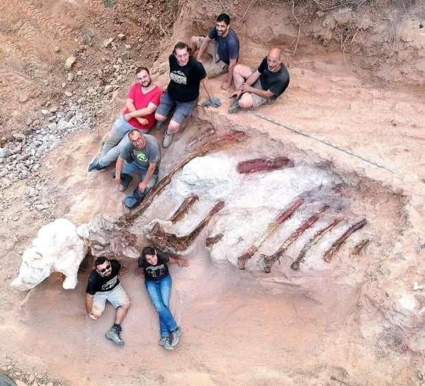 무심코 판 뒷마당서 1억5000만년 된 유럽 최대 공룡 화석 '불쑥'